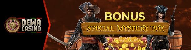 NEW BONUS SPECIAL MYSTERY BOX